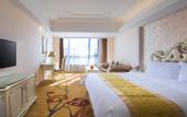 Туры в отель Vienna International Hotel (JieYang YangMei Jade Capital Hotel)