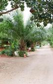 Туры в отель Baan Suan Resort