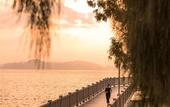 Туры в отель Joyze Hotel Xiamen,Curio Collection by Hilton