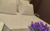 Туры в отель Hotel Paganini