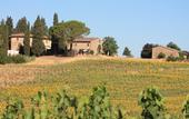 Туры в отель Il Poggio B&B
