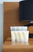 Туры в отель Hurstville Ritz Hotel