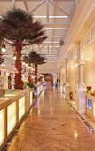 Туры в отель Sunshine Continental Grand Hotel