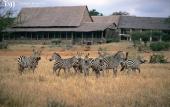 Туры в отель Kilaguni Serena Safari Lodge