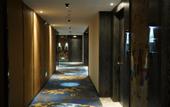 Туры в отель Paco Hotel
