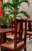 Туры в отель Hotel Gayser