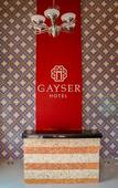 Туры в отель Hotel Gayser