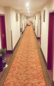 Туры в отель GreenTree Inn Cixi North Suntang Road Business Hotel