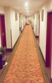 Туры в отель GreenTree Inn Cixi North Suntang Road Business Hotel