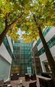 Туры в отель Caseros 248 Hotel