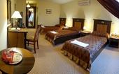 Туры в отель Oreg Miskolcz Hotel