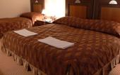 Туры в отель Oreg Miskolcz Hotel