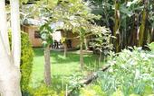 Туры в отель Runako Lodge