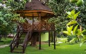 Туры в отель Fun Retreat Resort, Hotel and Ayurveda Spa