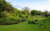 Туры в отель Fun Retreat Resort, Hotel and Ayurveda Spa