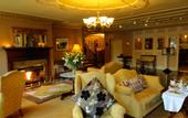 Туры в отель Killarney Royal