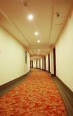 Туры в отель GreenTree Inn (Suzhou Wujiang Shengze Bus Station)