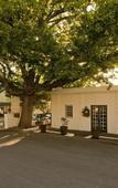 Туры в отель Hotel Roosje van de Kaap