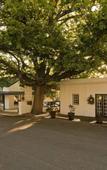 Туры в отель Hotel Roosje van de Kaap