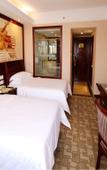 Туры в отель Vienna Hotel (Nanning Railway Station)