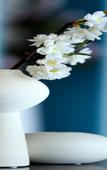 Туры в отель Magnotel Huayin Huashan Scenic Area Hotel