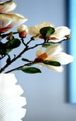Туры в отель Magnotel Huayin Huashan Scenic Area Hotel