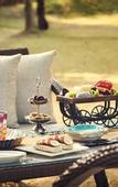 Туры в отель Taj Aravali Resort & Spa