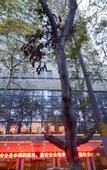 Туры в отель Kyriad Marvelous Hotel (Nanjing Hongqiao Center)