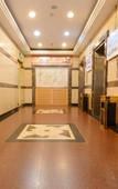 Туры в отель Kyriad Marvelous Hotel (Nanjing Hongqiao Center)