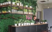 Туры в отель Paly Hotel