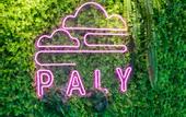 Туры в отель Paly Hotel