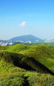 Туры в отель Kyriad Marvelous Hotel (Shenzhen Linheng Plaza Liuyue Metro Station)