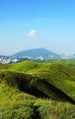 Туры в отель Kyriad Marvelous Hotel (Shenzhen Linheng Plaza Liuyue Metro Station)