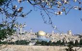 Туры в отель King David