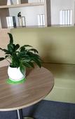 Туры в отель Mehood Hotel(Shanghai Jinqiao Branch)