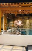 Туры в отель Mehood Hotel(Shanghai Jinqiao Branch)
