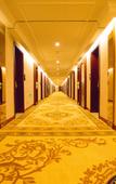 Туры в отель Vienna Hotel (Shanghai Changxing Island)