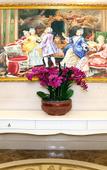 Туры в отель Vienna Hotel (Shanghai Changxing Island)