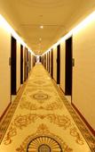 Туры в отель Vienna Hotel (Shanghai Changxing Island)