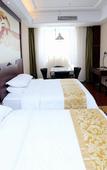 Туры в отель Vienna Hotel (Shanghai Changxing Island)