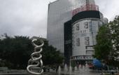 Туры в отель Malton International Hotel (Exhibition Center Jinhu Square Metro Station Branch)
