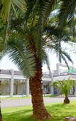Туры в отель Holiday Inn Express SUZHOU ZHOUZHUANG ANCIENT TOWN by IHG