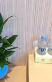 Туры в отель Vienna Hotel (Shanghai Hongmei South Road)