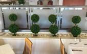 Туры в отель King Minos Retreat Resort & Spa