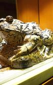 Туры в отель March Flower International Hotel