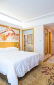 Туры в отель Vienna Hotel (Jiangmen Wanda Plaza Store)