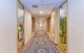 Туры в отель Vienna International Hotel