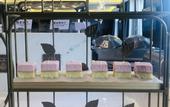 Туры в отель Harbin Ice and Snow World Longchuan Road Metro Station L.Cheng Hotel