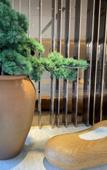Туры в отель JI Hotel (Kunming Changshui International Airport)