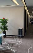 Туры в отель Xana Hotelle (Tianjin Huaming Binhai International Airport)